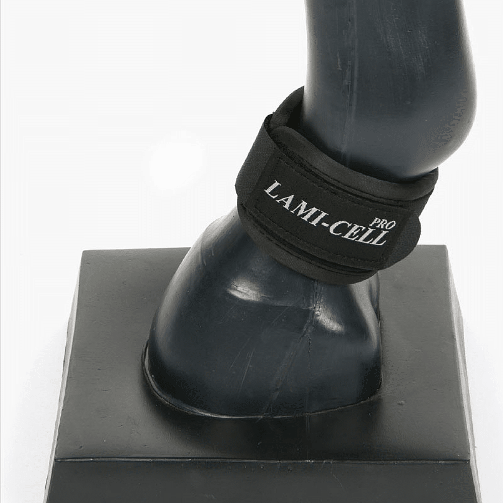 Lamicell Ventex Neoprene Strap, Protection For The Coronary Band